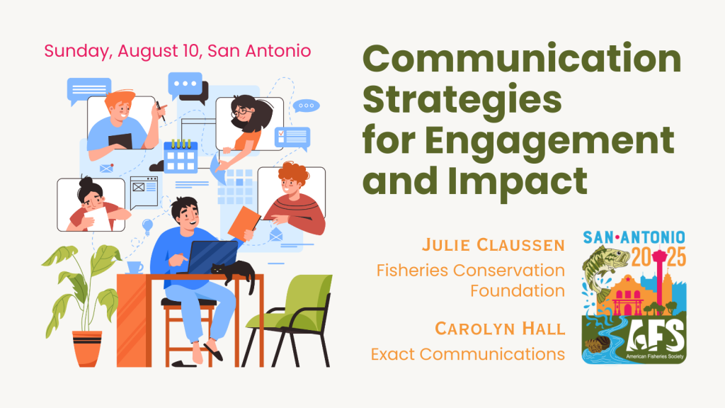communication strategies