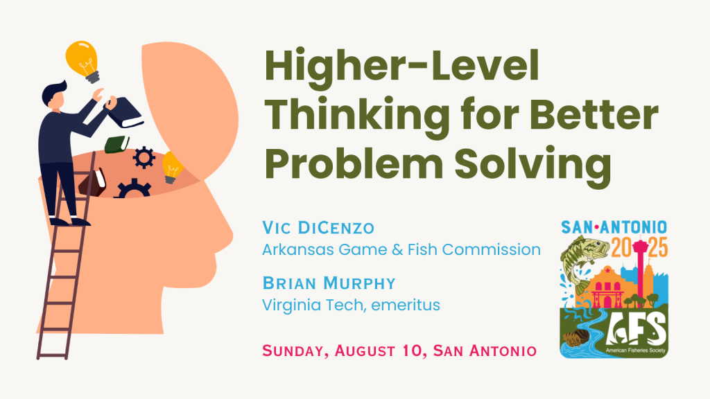 higher level thinking