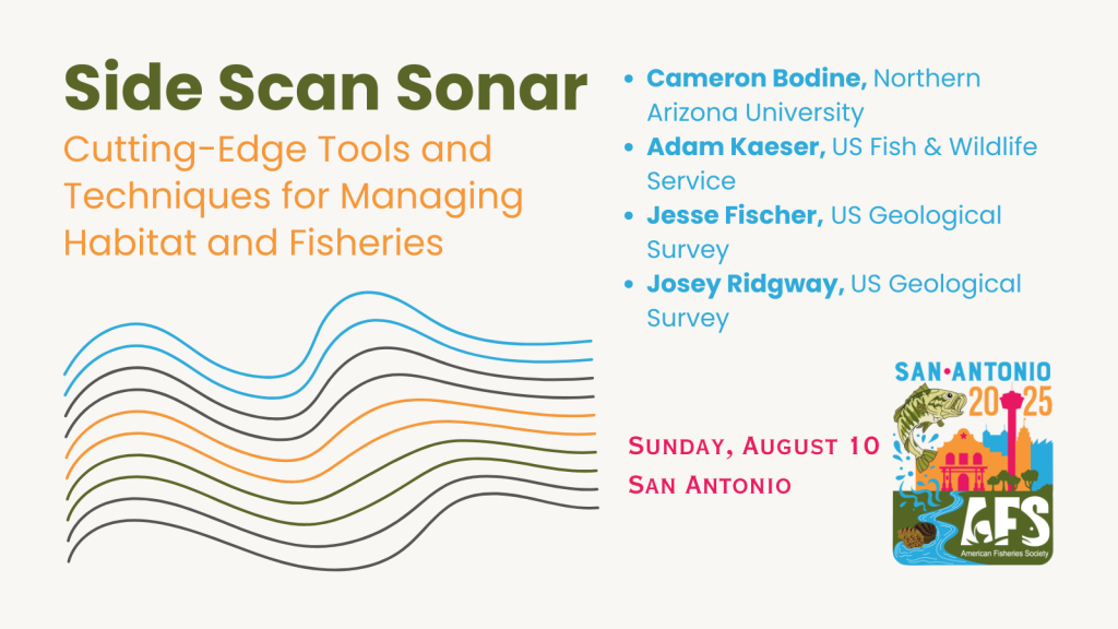 side scan sonar (1)